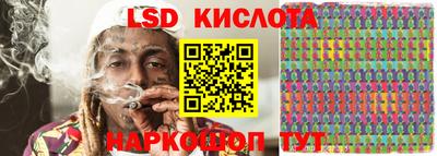 шишки Дубна