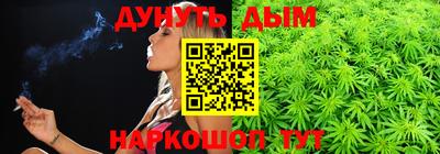 шишки Дубна