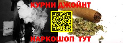 шишки Дубна