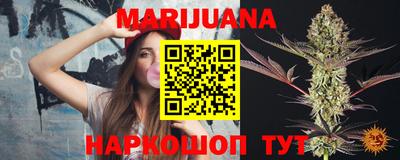 шишки Дубна