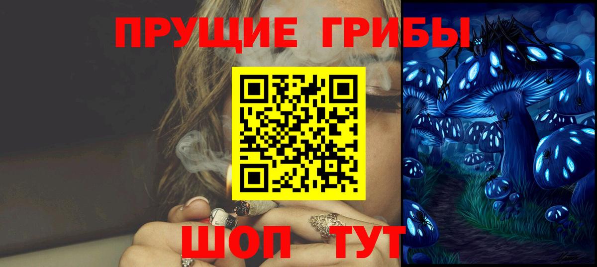 Сосновый Бор  Псилоцибиновые грибы мухоморы  Вход с VPN 