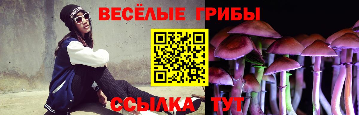 Псилоцибиновые грибы MAGIC MUSHROOMS Сосновый Бор